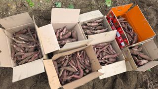 누보농장님의 자유주제 · 자유게시판 작성글 사진