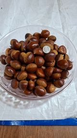 팜모닝 자유주제·자유게시판 게시글 이미지