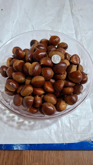 방스팜님의 자유주제 · 자유게시판 작성글 사진