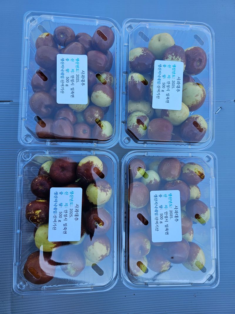 장터 상품 [사과대추 팩당 500g (2팩씩 판매 1kg)] 썸네일