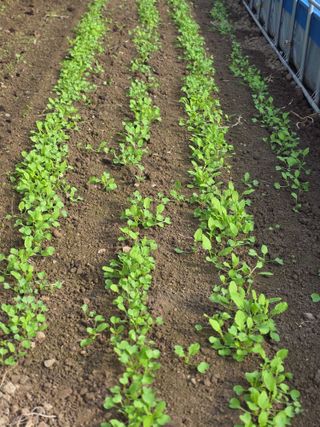 박용열조물주님 님의 자유주제 · 사진전 작성글 사진