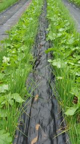 팜모닝 자유주제·자유게시판 게시글 이미지