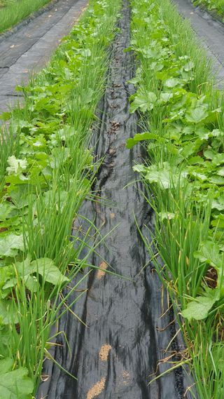 독고득용님의 자유주제 · 자유게시판 작성글 사진