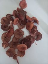 팜모닝 자유주제·자유게시판 게시글 이미지