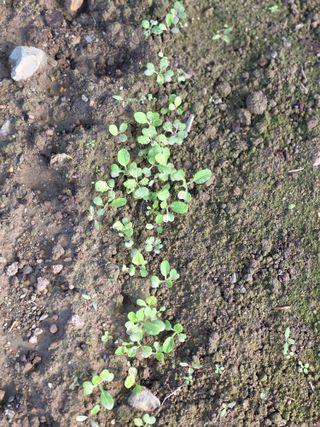 박용열조물주님 님의 자유주제 · 사진전 작성글 사진