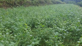 홍광희님의 자유주제 · 자유게시판 작성글 사진