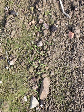 박용열조물주님 님의 자유주제 · 사진전 작성글 사진