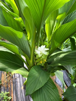 태일농산이정수님의 자유주제 · 자유게시판 작성글 사진