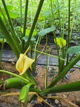 팜모닝 자유주제·자유게시판 게시글 이미지