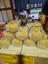 팜모닝 자유주제·자유게시판 게시글 이미지