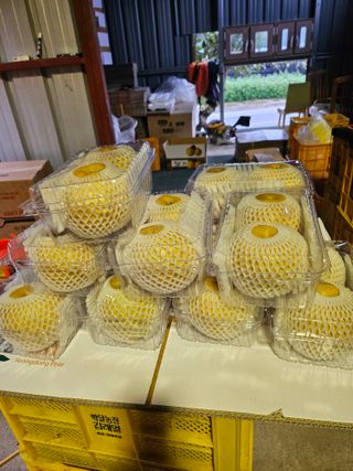 조영민님의 자유주제 · 자유게시판 작성글 사진