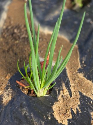박용열조물주님 님의 자유주제 · 사진전 작성글 사진