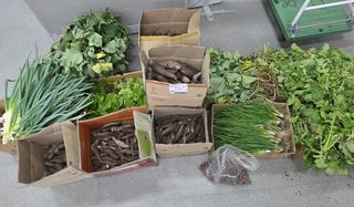 누보농장님의 자유주제 · 자유게시판 작성글 사진