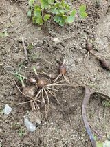 팜모닝 자유주제·자유게시판 게시글 이미지