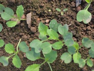 박용열조물주님 님의 자유주제 · 사진전 작성글 사진