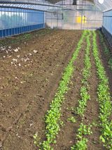 팜모닝 자유주제·사진전 게시글 이미지