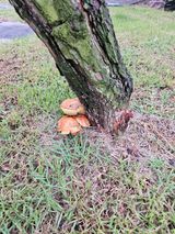 팜모닝 자유주제·자유게시판 게시글 이미지