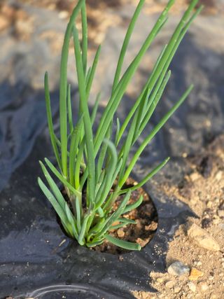 박용열조물주님 님의 자유주제 · 사진전 작성글 사진