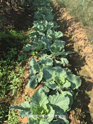 정택님의 자유주제 · 자유게시판 작성글 사진