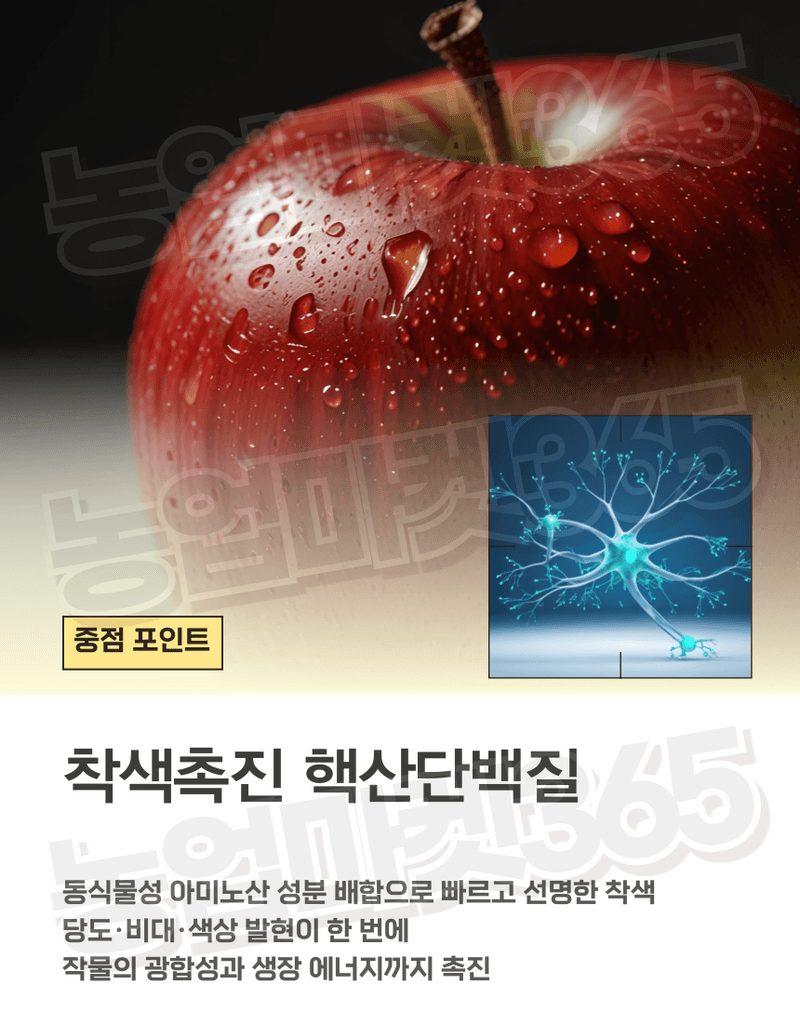 농업마켓365님의 장터 판매 상품 [농업마켓365 융전 참칼라 액제 500ml 당도 착색 비대 과수 사과 배 포도 복숭아 아미노산 단백질 조기수확] 첨부 사진