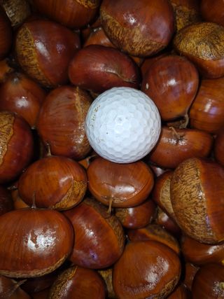 독고다이님의 작성글 사진