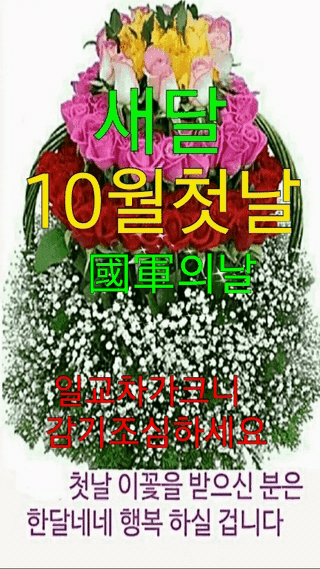 테리우스님의 자유주제 · 자유게시판 작성글 사진