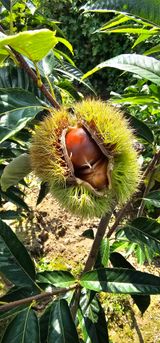 팜모닝 · 게시글 이미지