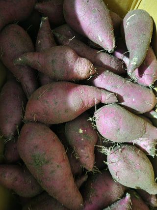 최상길 님의 자유주제 · 자유게시판 작성글 사진