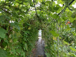 이박농장님의 자유주제 · 자유게시판 작성글 사진