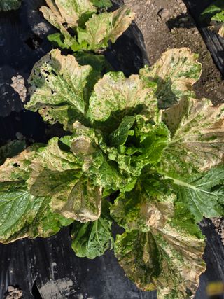 knlee님의 자유주제 · 자유게시판 작성글 사진