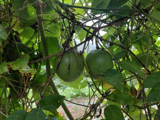 이박농장님의 자유주제 · 자유게시판 작성글 사진