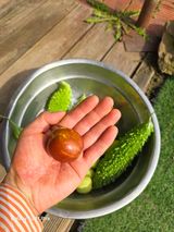 팜모닝 자유주제·사진전 게시글 이미지