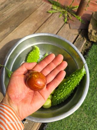 소병찬님의 자유주제 · 사진전 작성글 사진