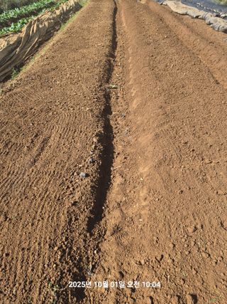 정택님의 자유주제 · 자유게시판 작성글 사진