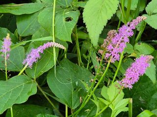 안길원님의 자유주제 · 자유게시판 작성글 사진