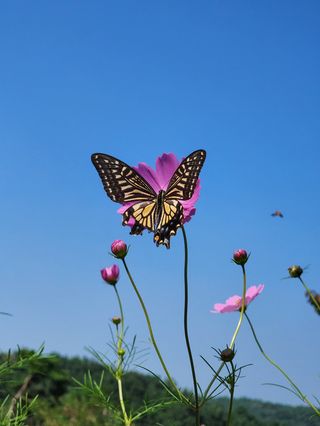 엘림농장님의 자유주제 · 사진전 작성글 사진