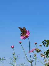 팜모닝 자유주제·사진전 게시글 이미지