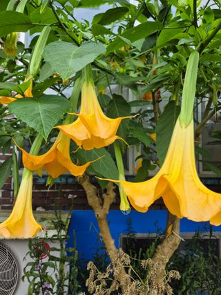 엘림농장님의 자유주제 · 사진전 작성글 사진