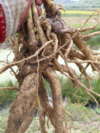 좋은인연원님의 자유주제 · 자유게시판 작성글 사진