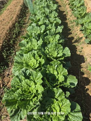 정택님의 자유주제 · 자유게시판 작성글 사진