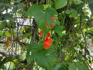 이박농장님의 자유주제 · 자유게시판 작성글 사진