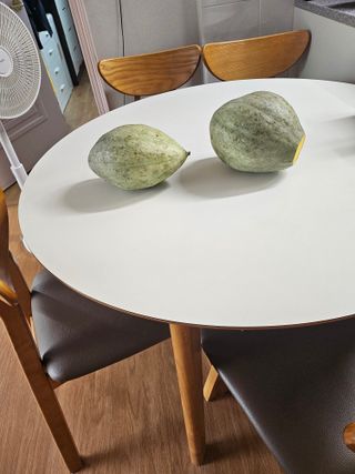 충남공주이도은님의 자유주제 · 자유게시판 작성글 사진