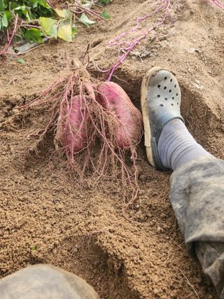 각운님의 자유주제 · 자유게시판 작성글 사진