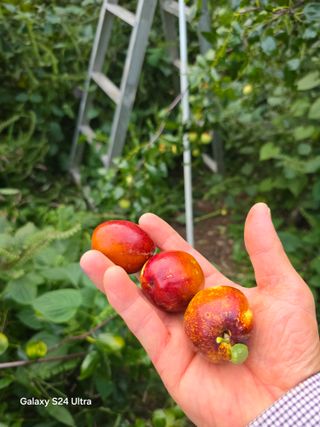 소병찬님의 자유주제 · 사진전 작성글 사진