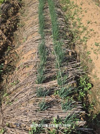 정택님의 자유주제 · 자유게시판 작성글 사진