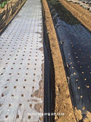 정택님의 자유주제 · 자유게시판 작성글 사진