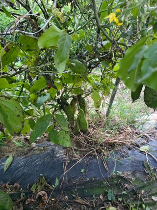 배동연님의 자유주제 · 자유게시판 작성글 사진