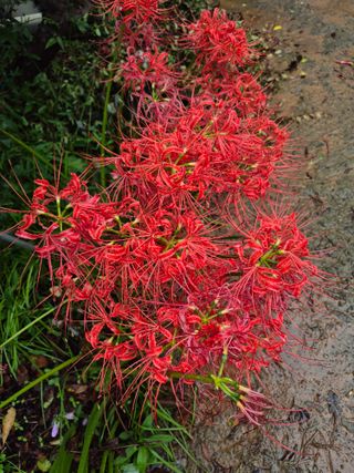 엘림농장님의 자유주제 · 사진전 작성글 사진