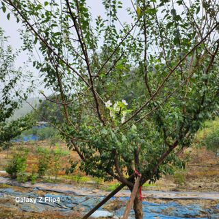 성낙신 님의 자유주제 · 자유게시판 작성글 사진