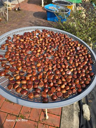 소병찬님의 자유주제 · 사진전 작성글 사진